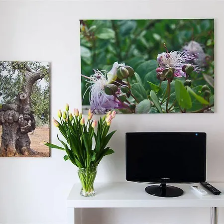 Helloapulia Center Monopoli